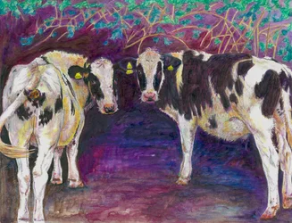 Abrigo de vacas, 2011, (lápis colorido sobre papel)
